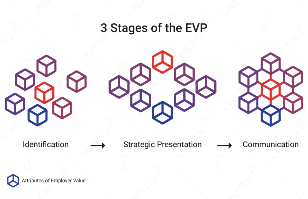 Stages of the Employer Value Proposition