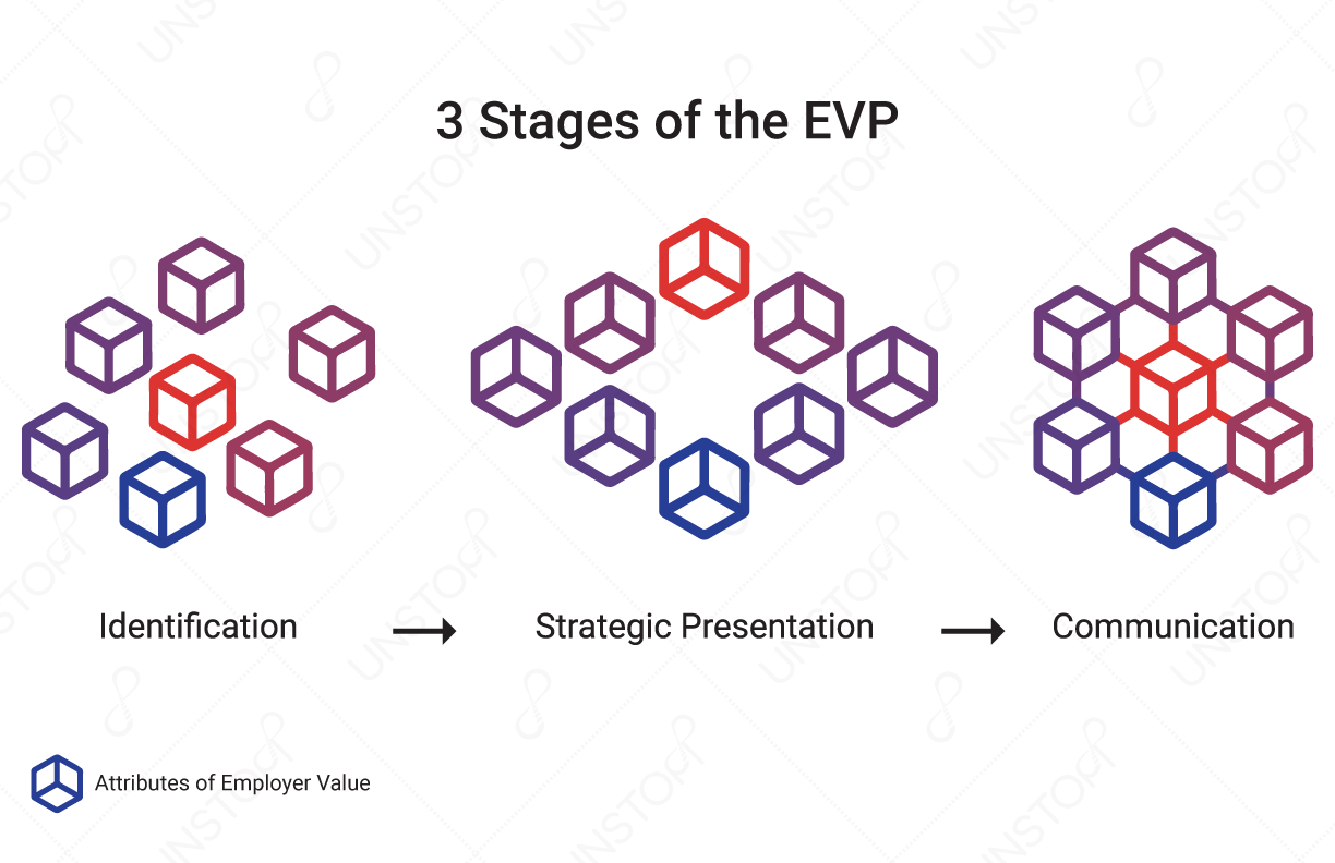 Stages of the Employer Value Proposition